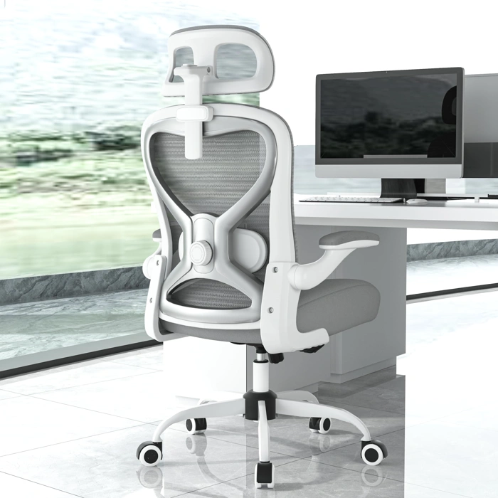 Ergonomic Office Chair with 2D Adjustable Lumbar and 3D Headrest