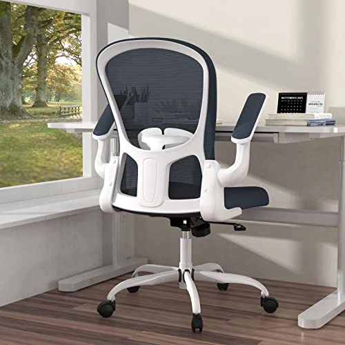 Ergonomic Mesh Office Chair with Lumbar Support, Flip-up Arms and Adjustable Height