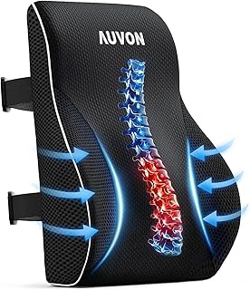 AUVON Memory Foam Lumbar Support Pillow for Office Chair
