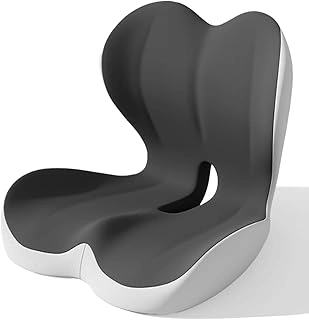 this product Ergonomic Memory Foam Seat and Lumbar Support Pillow